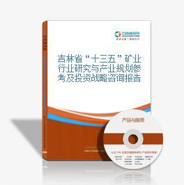 礦業|十三五研究